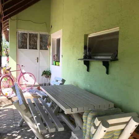 Kuca Za Odmor Davidovic Apartment Despotovac Exterior photo