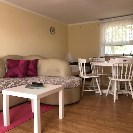 Kuca Za Odmor Davidovic Apartment Despotovac Exterior photo