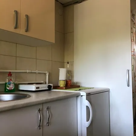 Kuca Za Odmor Davidovic Apartment Despotovac Exterior photo