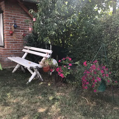 Kuca Za Odmor Davidovic Apartment Despotovac Exterior photo