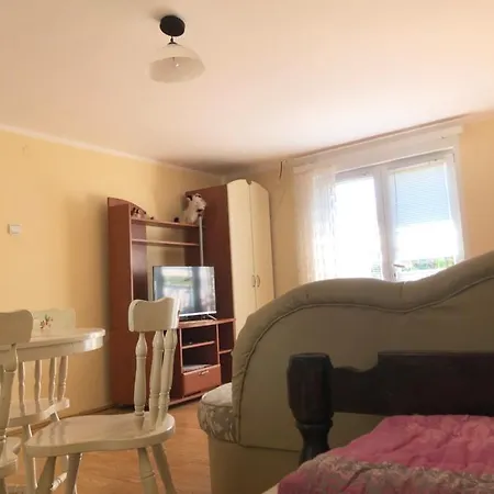 Kuca Za Odmor Davidovic Apartment Despotovac Exterior photo