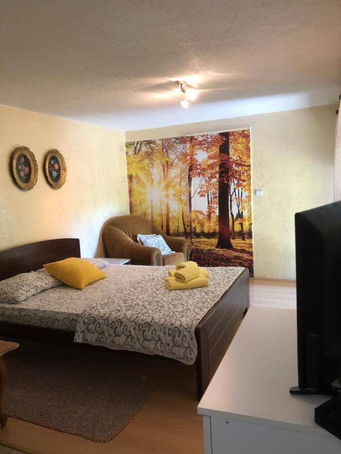 Kuca Za Odmor Davidovic Apartment Despotovac