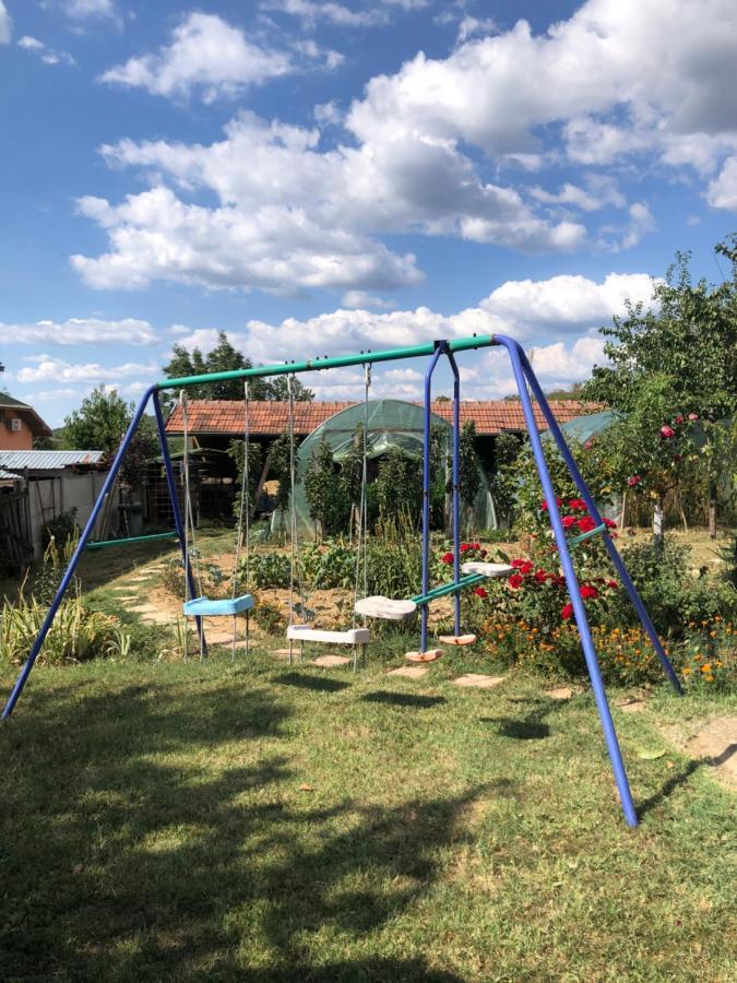 Apartment Kuca Za Odmor Davidovic Despotovac