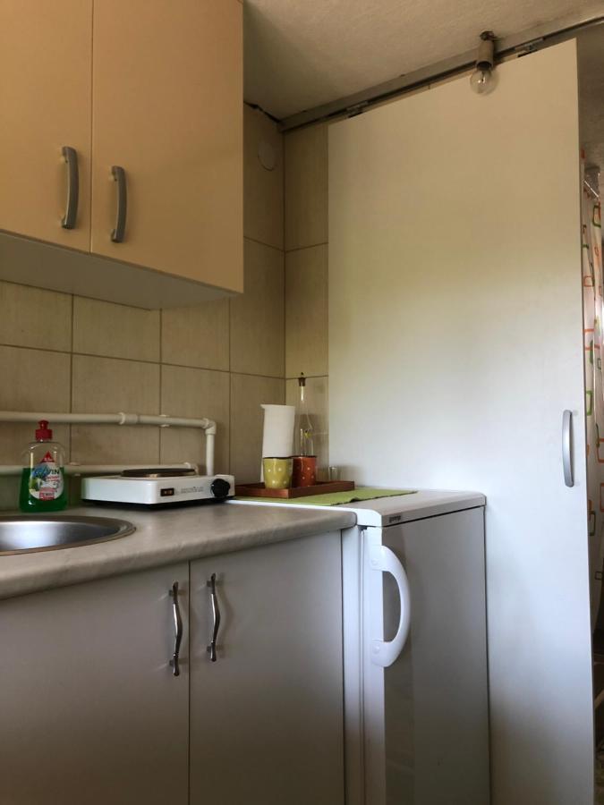 Kuca Za Odmor Davidovic Apartment Despotovac