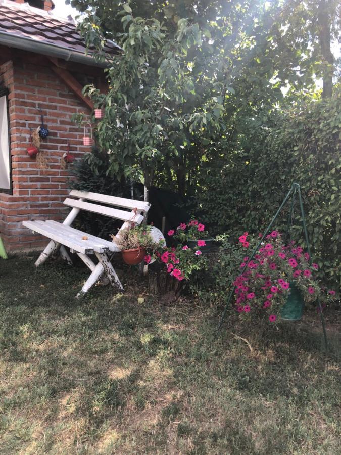 Kuca Za Odmor Davidovic Apartment